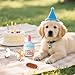 AYSYR 3 Stück Hundekuchen Geburtstag Spielzeug Set,Welpenspielzeug Quietschendes Plüschtier,Welpen Zubehör Geburtstagsknochen,Dog Toys Geburtstagsparty-Zubehör,Hunde Spielzeug Kauspielzeug