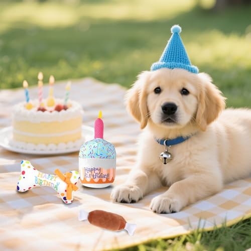 AYSYR 3 Stück Hundekuchen Geburtstag Spielzeug Set,Welpenspielzeug Quietschendes Plüschtier,Welpen Zubehör Geburtstagsknochen,Dog Toys Geburtstagsparty-Zubehör,Hunde Spielzeug Kauspielzeug