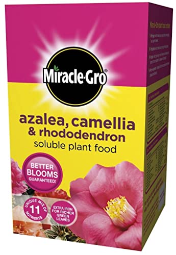 Miracle Gro Azalea, Camellia & Rhododendron Soluble Plant Food 500g Carton
