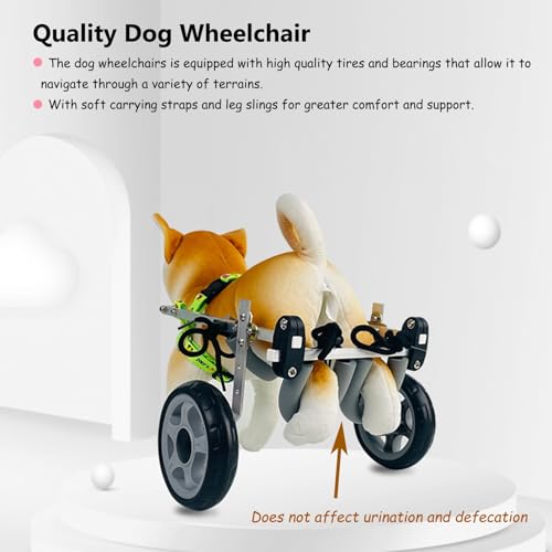 Fauteuil roulant petits chiens remorque vélo Shih Tzu blessé - 3