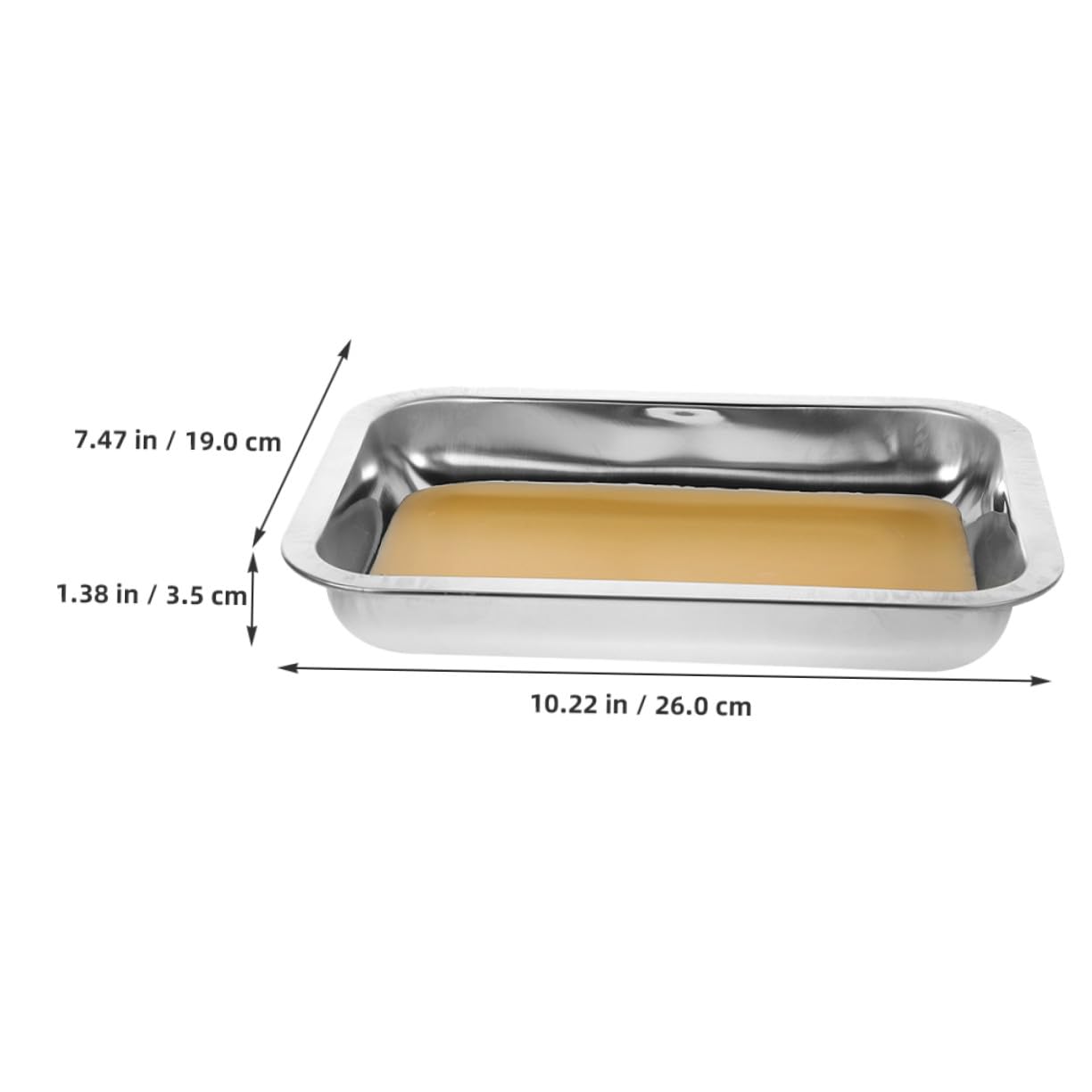 FRCOLOR 2pezzi Vassoio Per Dissezione in Acciaio Inox Pz Piastra Rivestita in Cera Vassoio Da Laboratorio in Dimensioni Per Esperimenti Di Biologia e Insegnamento