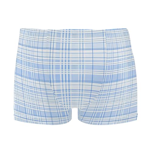 Blue Buffalo Check Plaid Mens Swim Trunk Swimwear Bathing Suit Swim Brief Square Leg Board Short S B0403543
