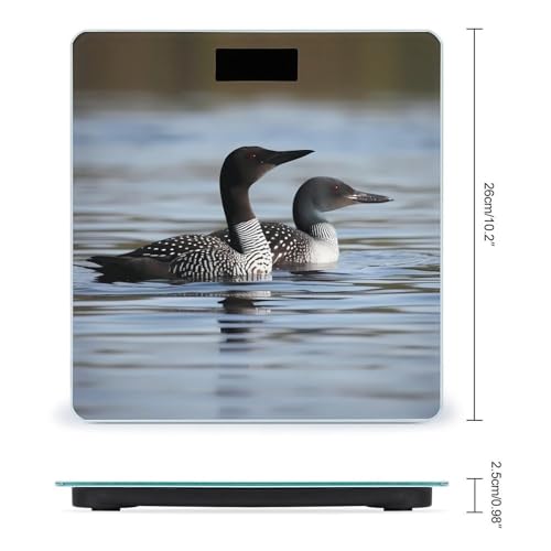 Balanza digital de baño Loon Birds con sensores precisos miniatura 2
