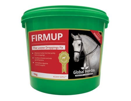 Image of Global Herbs GASTROFIX EQUINE HORSE PONY (500G) REPLACES DIAREEZE