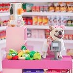 Nocciola 15 Pack Grocery Bag Fruits and Vegetables Crinkle Dog Squeaky Toys, Small Dog Toys for Aggressive Chewers, Durable Plush Christmas Dog Toys for Small Medium Size Dogs, Puppy Dog Chew Toys