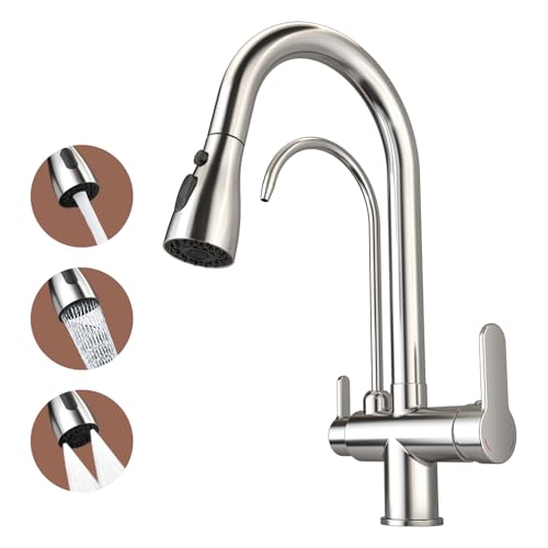 SoliForge 3-in-1 Kitchen Faucet