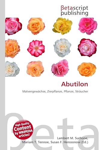 Abutilon: Malvengewächse, Zierpflanze, Pflanze, Sträucher