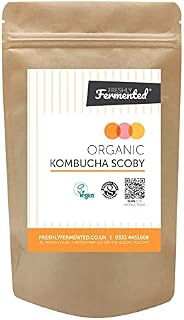 Freshly Fermented Vegan & Organic Kombucha SCOBY (2 Litre Kombucha)