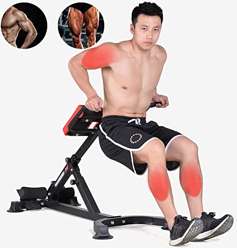 romeinse stoel Hyperextensie Oefening Romeinse Stoel met Dipstation, Krachttraining Verbrandt Vette Machine, Fitnessapparatuur voor Push-ups/geiten Staan - Image 4