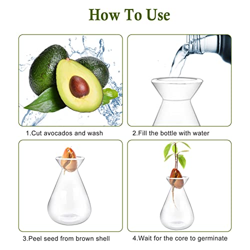 2 Pieces Avocado Seed Starter Vases, Avocado Vases Grow Glass Avocado Seed Vases Avocado Garden Vases Avocado Seed Sprouter Avocado Growing Kit Avocado Pit Vase For Gardening Lovers #TOP3