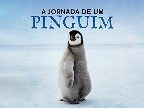 A Jornada de um Pinguim - Season 1