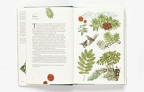 Around The World In 80 Trees: (The Perfect Gift For Tree Lovers) #TOP1