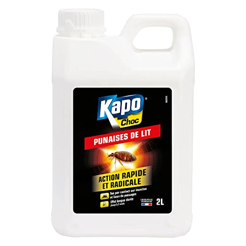 Kapo Choc Insecticide Punaises de lit - Idéal pour traiter les grandes surfaces - Action rapide et radicale - Effet longue durée 3 mois