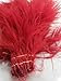 Creative Angler Strung Marabou Bird Feathers for Tying Fly Fishing Flies - Fly Tying Accessories - Perfect Choice for Tail & Wings and Easy to Tie On The Lure - Approximately 0.3 Ounces - Red