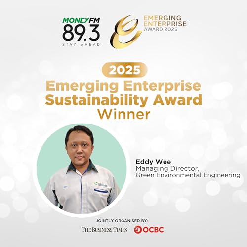 Page de couverture de Emerging Enterprise: Engineering Asia&rsquo;s Low-Carbon Future