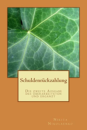 Schuldenrückzahlung (Parteigenosse) (German Edition)