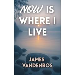 Now Is Where I Live Audiolibro Por James Vandenbos arte de portada