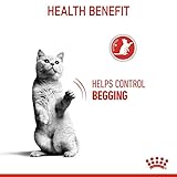 Royal Canin Appetite Control Care Adult Dry Cat Food 2kg (Suitable for Sterilised Cats) - Image 7