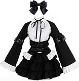 Poetic Walk Anime Erza Scarlet Punk Maid Lolita Party Dress Womens Suit Cosplay Costume Custom B (Black, XX-Large)