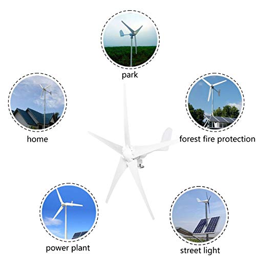 TQ 8000W Wind Turbines Generator, 12V/24V 3/5 Blades Horizontal Wind Generator with Controller Windmill Energy Turbines Charge,24v,5 Blades