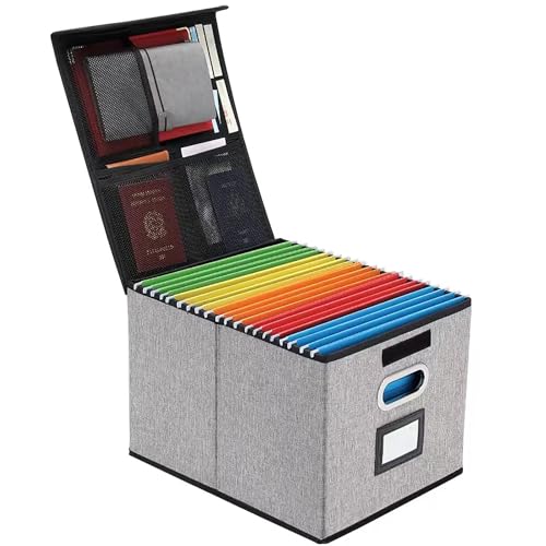 EXLIFBAG Modern Gray Collapsible Filing Storage Box with Lid, 11