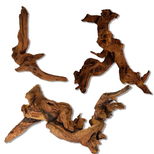 XINGYUXUXIN Natural Aquarium Decoration Driftwood Tree Trunk with Rockery View, Unique Dead Wood Root Hideouts for Fish & Reptiles, Landscape Enhancer (Random Shape, 10-15cm Length)