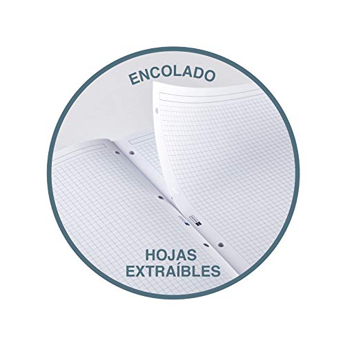 Miquelrius - Ersatzblock A4, 200 karierte Blätter 5x5 mm, 90 g/m², gelocht für Ordner, 8 Farben, Schulmaterial