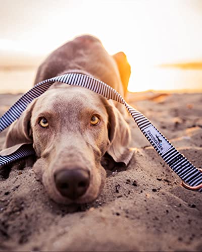 FREUDENTIER® Hundehalsband & Hundeleine aus Canvas im Set - 2m lang & 3-Fach verstellbar - Lighthouse Kollektion (30-42cm, Schwarz/Weiss)
