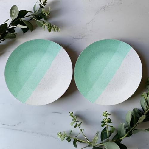 Image of Freakway Set of 2 Modern Ceramic Dinner Plates - 7.3'' Speckled Stoneware Plates with Half Mint Green & White Design /Microwave & Dishwasher Safe