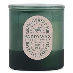 Cactus Flower & Aloe