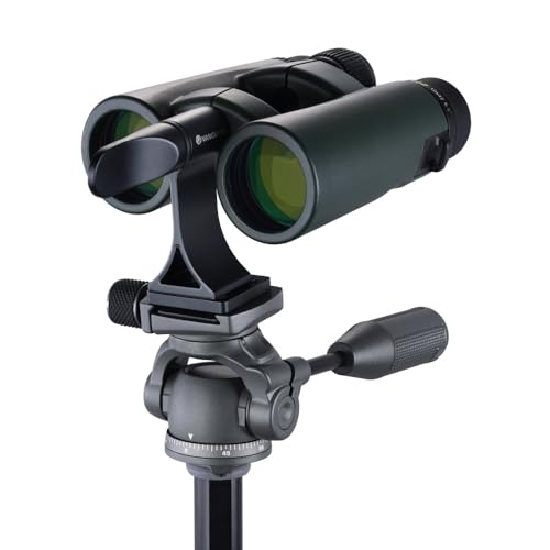 Product Variant View