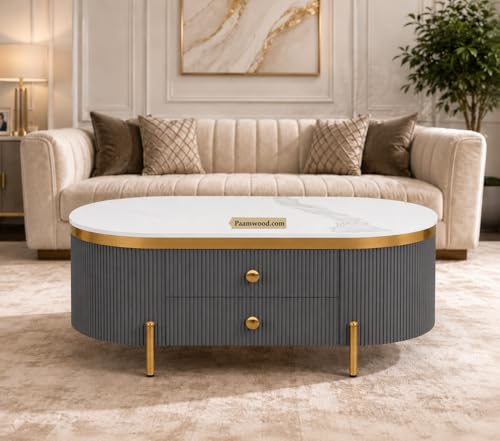 Image of Tesla Centre Table, 42x24x18 Inch, Nano Composite White Marble Top, Gold Accents, 2-Drawer Storage, Oval Design, Waterproof Plywood, PVD Legs, Modern Coffee Table for Living /Entryway
