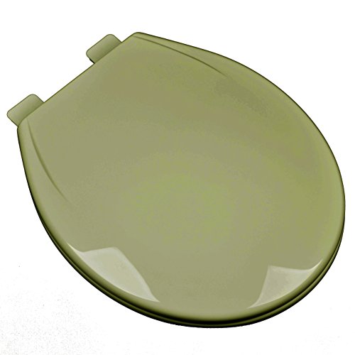 Bath Décor 2F1R6-58 Slow Close Plastic Round Top Mount Adjustable Release and Clean Hinge Toilet Seat, Avocado