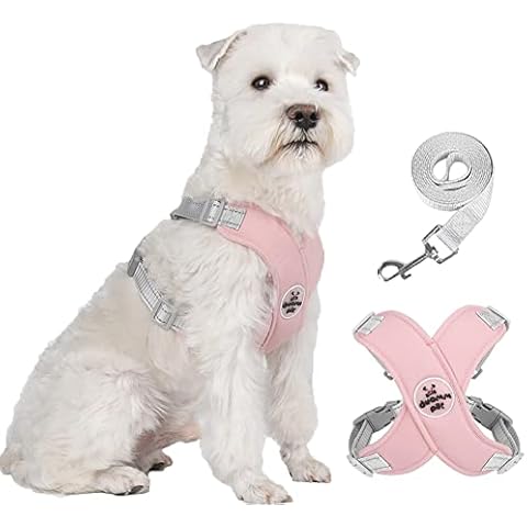 FEimaX No Pull Dog Harness and Lead Set Cover