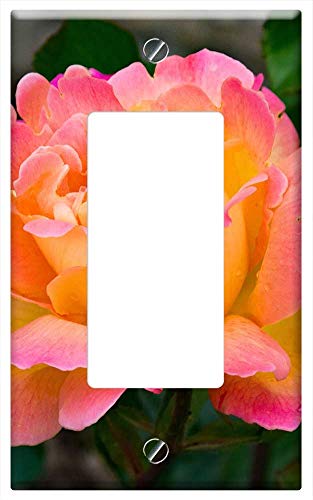 Best Yellow Hybrid Tea Rose
