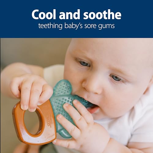 Dr. Brown's Aqua Cool Water-Filled Teether, Green Cacti, 4-Pack - image 2