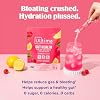 Ultima Replenisher Gut Health Supplement and Electrolytes Powder - Raspberry Lemonade, 14 Stickpacks - Hydration Packets with Added Gut Health Benefits #2