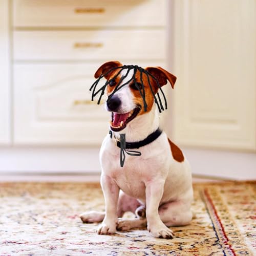 Peruca De Estimação Peruca De Cachorro Engraçado Cocar De Cão De Halloween Acessórios De De Cachorro