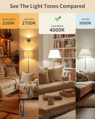 Image of Lafoy LED Edison Bulb 4000K Cool Bright White, Dimmable 60 Watt Equivalent A19 Globe Light Bulbs, Vintage E26 Medium Base Antique Style, 700 Lumen 60W Replacement, 120V 6 Pack