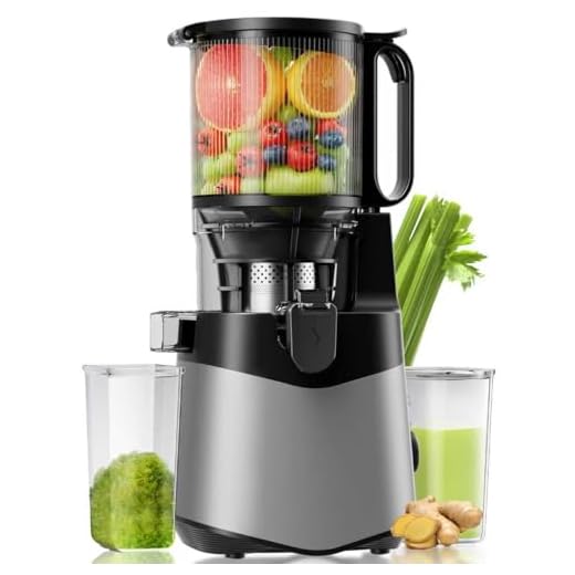 Cold Press Juicer, 5.3" Wide Feed Chute Juice Extractor Machine with 400W, High Juice Yield, Slow Masticating Juicer for Whole Vegetables & Fruits, Deep Grey