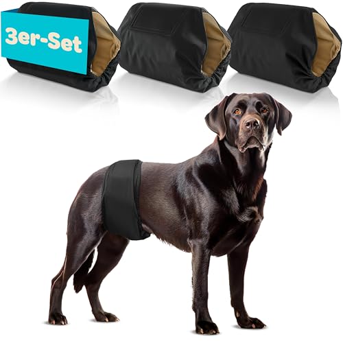 HUND IST KÖNIG Hundewindeln für Rüden [3 STK] Saugstarke Hundewindeln Rüde | Bequeme Hunde Windeln bei Inkontinenz Hund - Umweltfreundliche Rüdenwindel waschbar | Hundewindel leicht zu reinigen