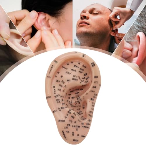 Semillas de oído para reflexología: kit de acupuntura con modelo de oreja 4
