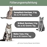 PLATINUM - Katzenfutter MeatCrisp Sterilised Fish aus dem Frischfleischtrockner - 1,5kg Katzenfutter mit 82% Frischfleisch - Trockenfutter für Katzen - Crispy Biss - reduzierter Kaloriengehalt