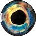 Brule 3-D Hard Epoxy Eyes (BluGold, 8mm)