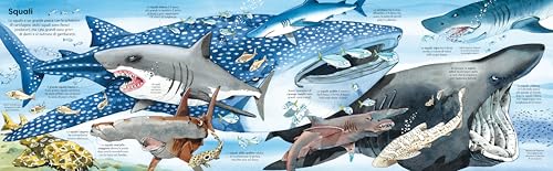 Libroni Usborne - Il Grande Libro Degli Animali Marini - 5