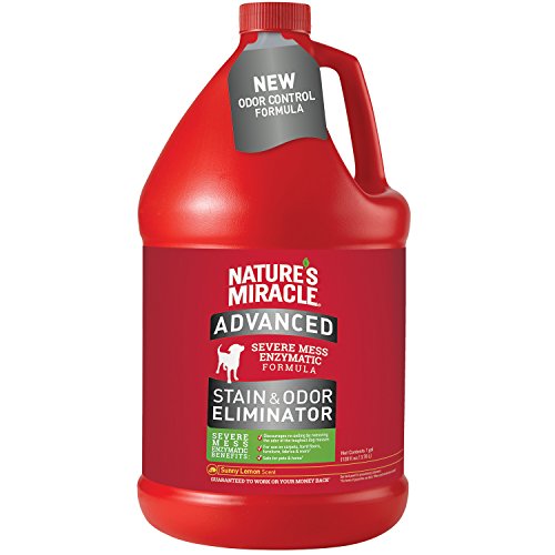 Natures Miracle Sunny Lemon Advance Stain And Odor Eliminator 32