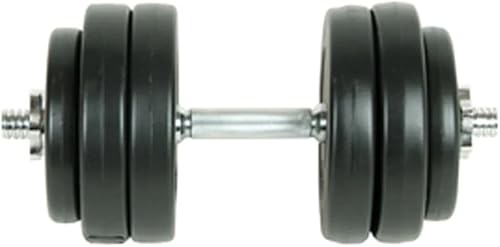 Loibinfen Juego de mancuernas ajustables, pesas libres para hombres y mujeres, entrenamiento de fuerza, gimnasio en casa, equipo de entrenamiento