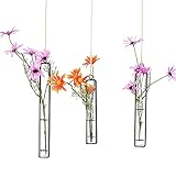 ✿ Material Premium: Contenedor terrario florero colgante está hecho de metal de hierro de alta calidad + vidrio + cuerda de yute, mano de obra fina, el tubo de ensayo de vidrio es grueso, transparente y simétrico, el marco de hierro es fuerte y duradero y se puede usar durante mucho tiempo.