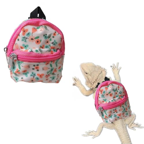 HAICHEN TEC Lizard Backpack Bearded Dragons School Bag Books Set Handmade Back to School Reptile Apparel