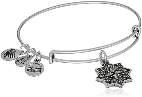 Alex and Ani Healing Love II Bangle Bracelet, Rafaelian Silver, Expandable